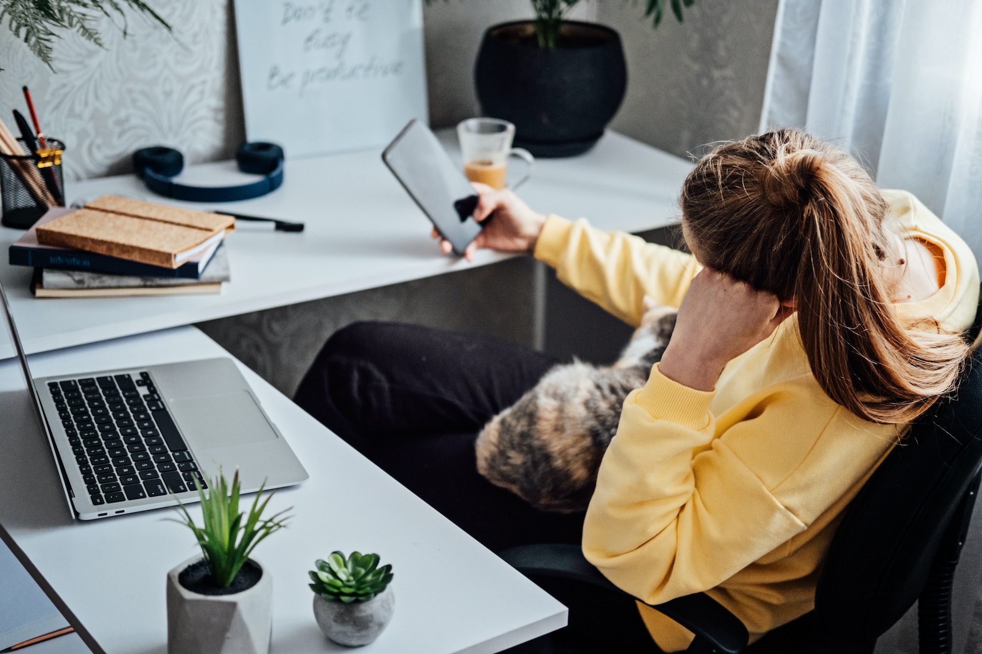 Woman freelance or procrastinate at workplace at home office. Self-employed businesswoman with cat